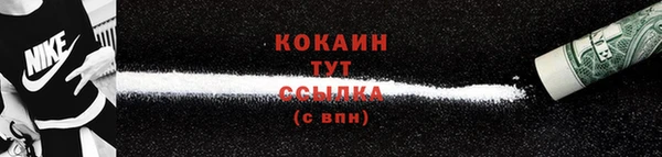 тгк Верея