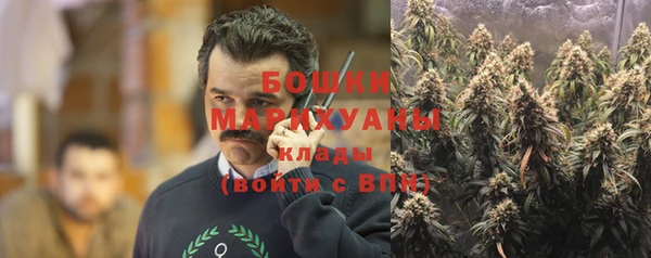 тгк Верея